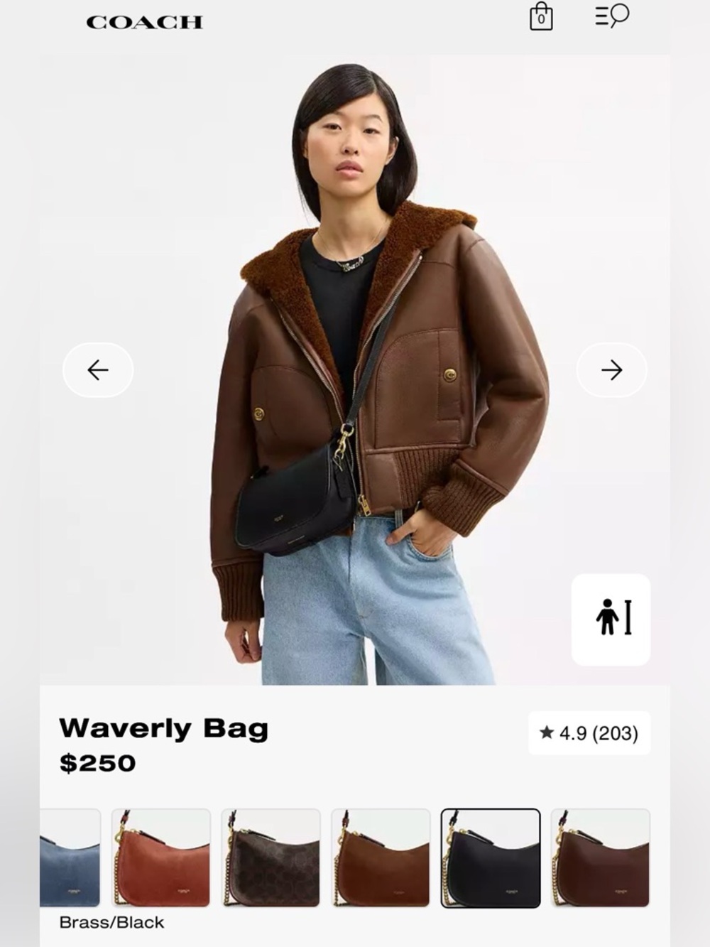 Waverly Bag in Black / Brass